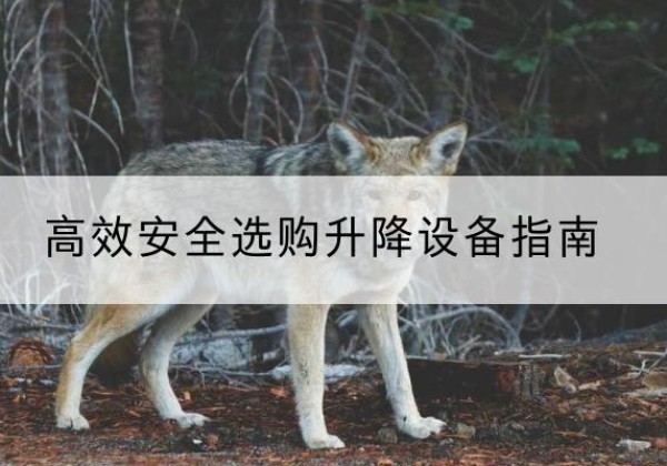 平罗升降货梯厂家推荐-*安全选购升降设备指南