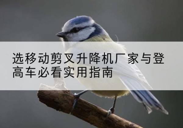 平罗电动升降机厂家-选移动剪叉升降机厂家与登高车必看实用指南