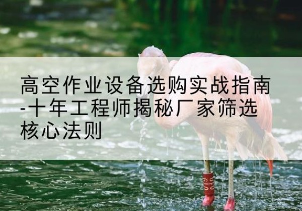 平罗剪叉式升降机厂家-高空作业设备选购实战指南-十年工程师揭秘厂家筛选核心法则